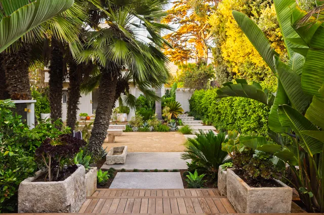 a view of a backyard with plants