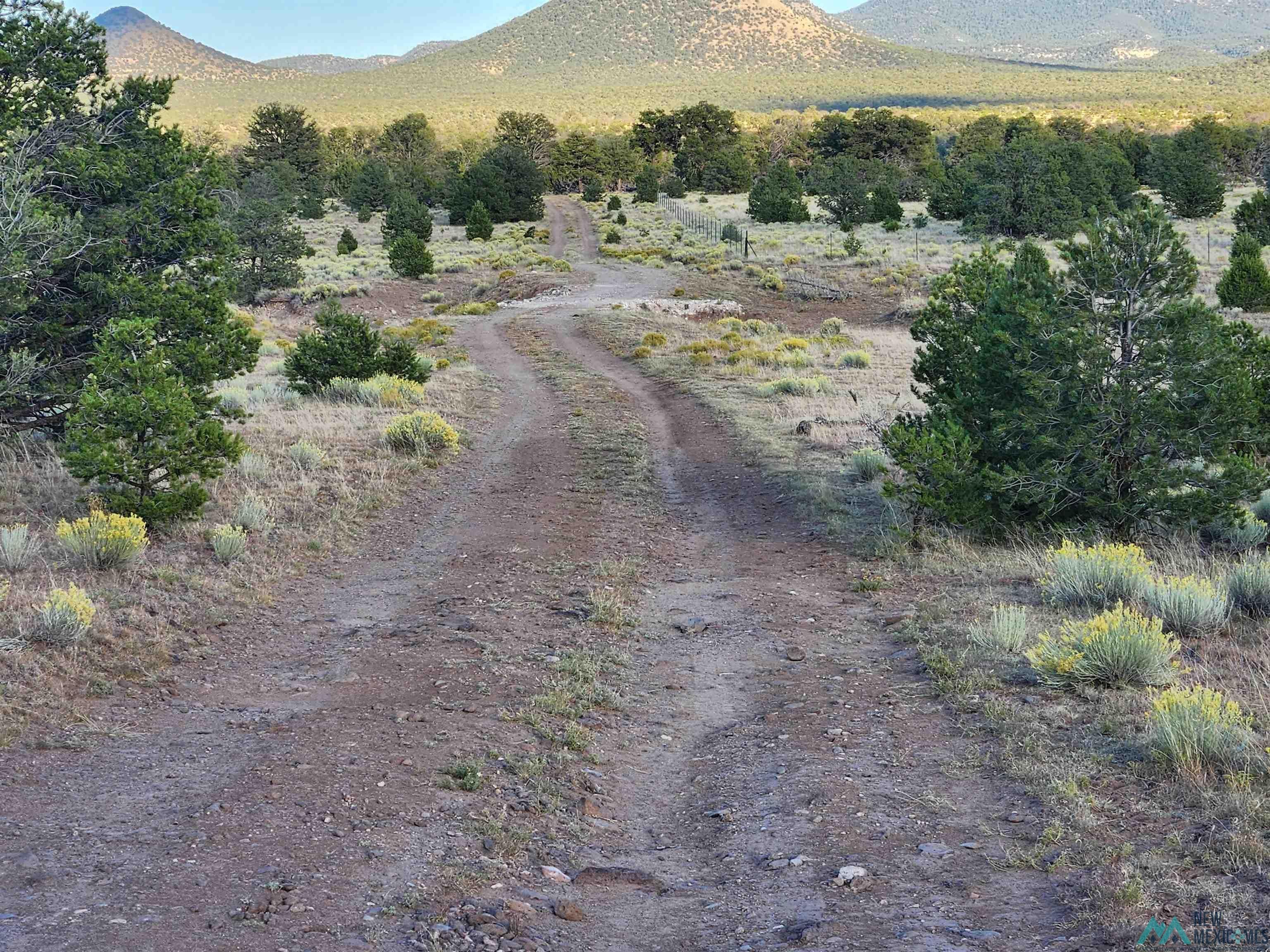 Tbd Mangas Road Quemado, NM 87829 - Photo 15 of 15
