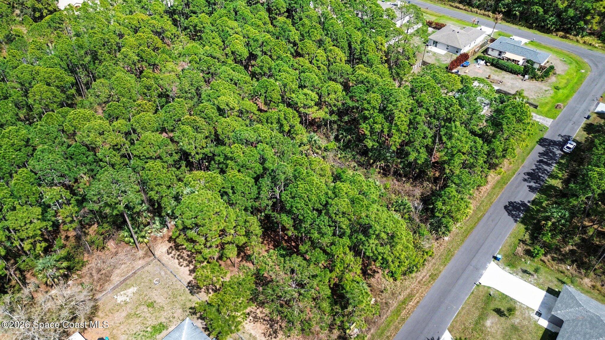 341 Danis Road Southwest Palm Bay, FL 32908 - Photo 4 of 20 003_file_6366