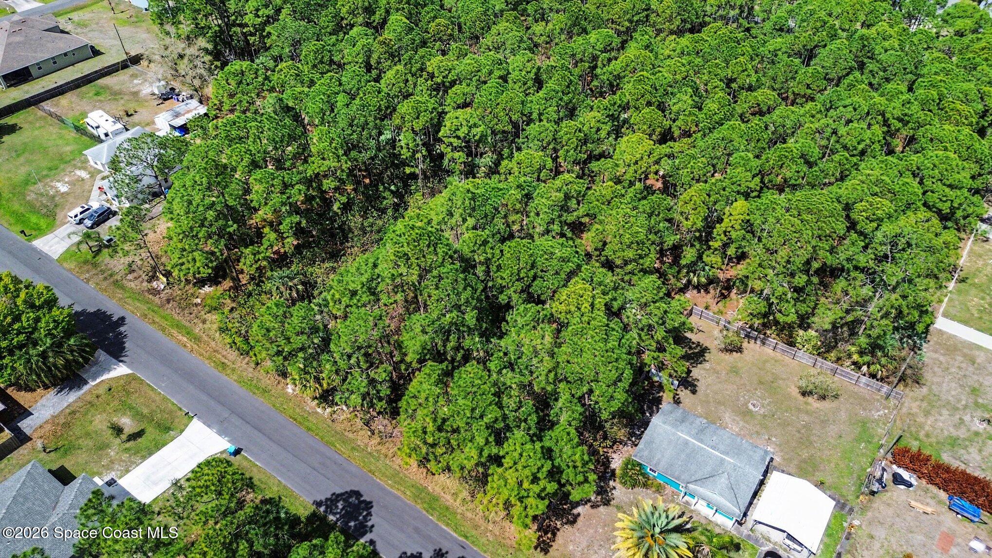 341 Danis Road Southwest Palm Bay, FL 32908 - Photo 5 of 20 001_file_8976