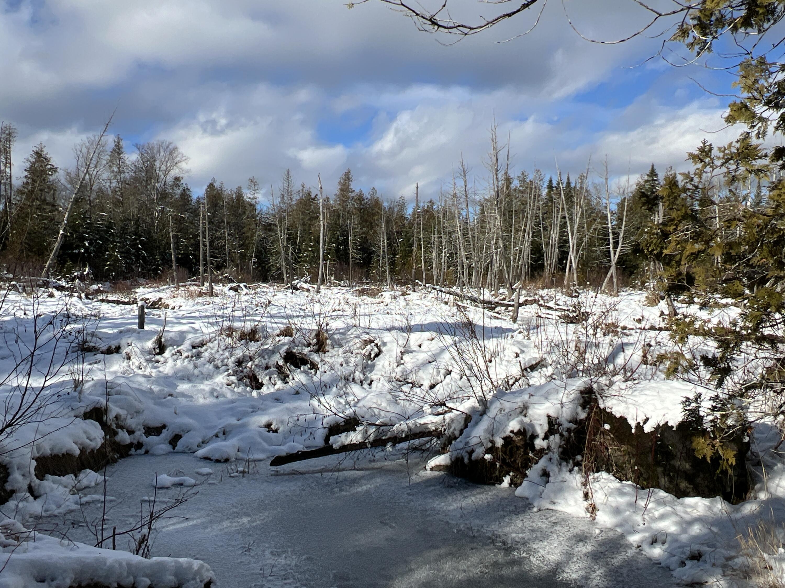 17 Waters Road Patten, ME 04765 - Photo 21 of 31 IMG_2784