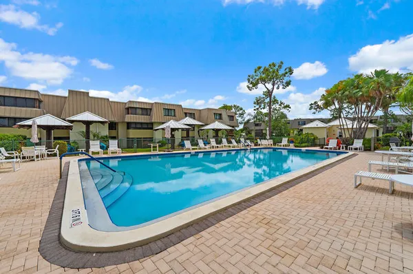 a view of a backyard with a garden and plants