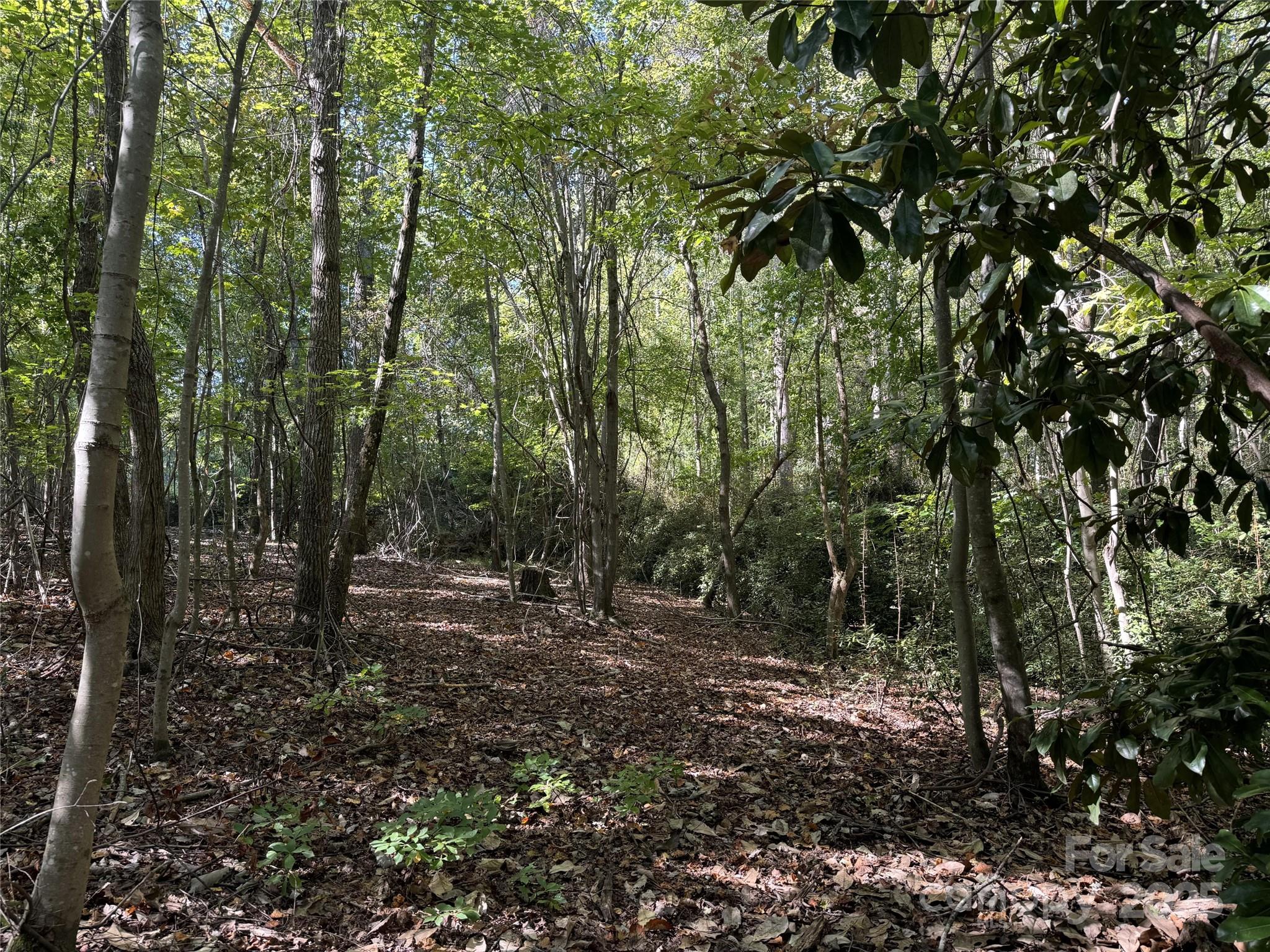 131 Biscoe Road Troy, NC 27371 - Photo 15 of 24 a view of outdoor space and trees
