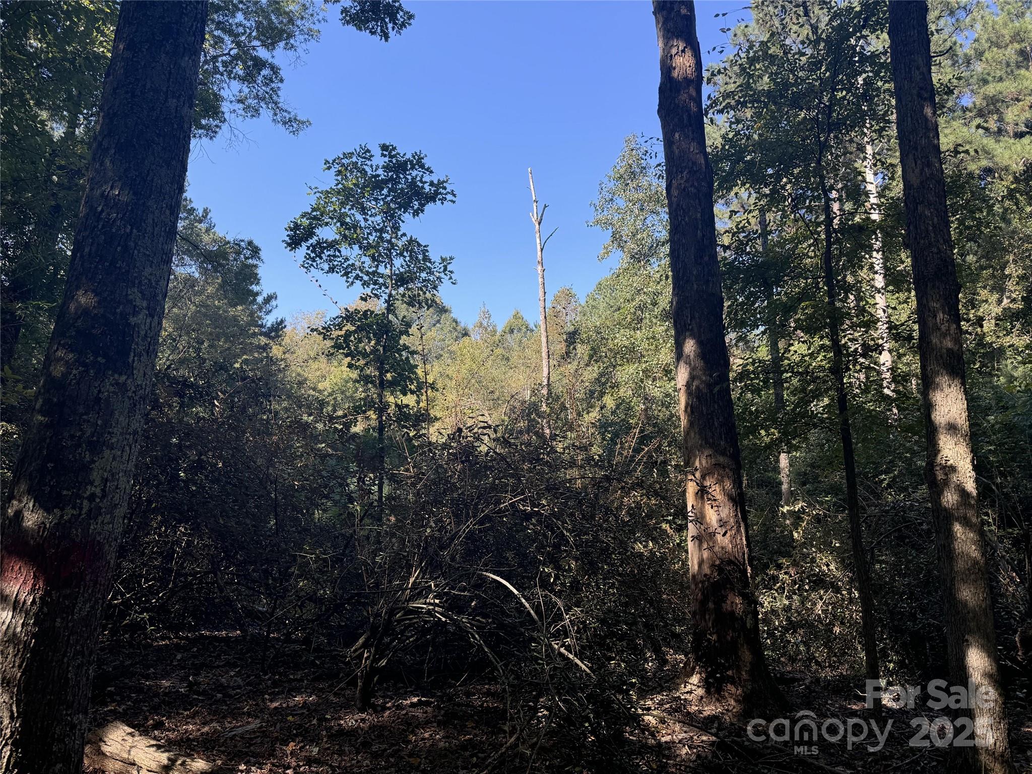 131 Biscoe Road Troy, NC 27371 - Photo 16 of 24 a view of a city