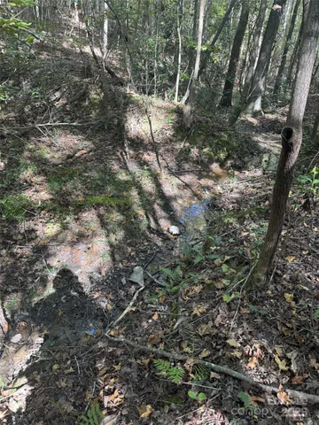 a view of a yard with trees in the background