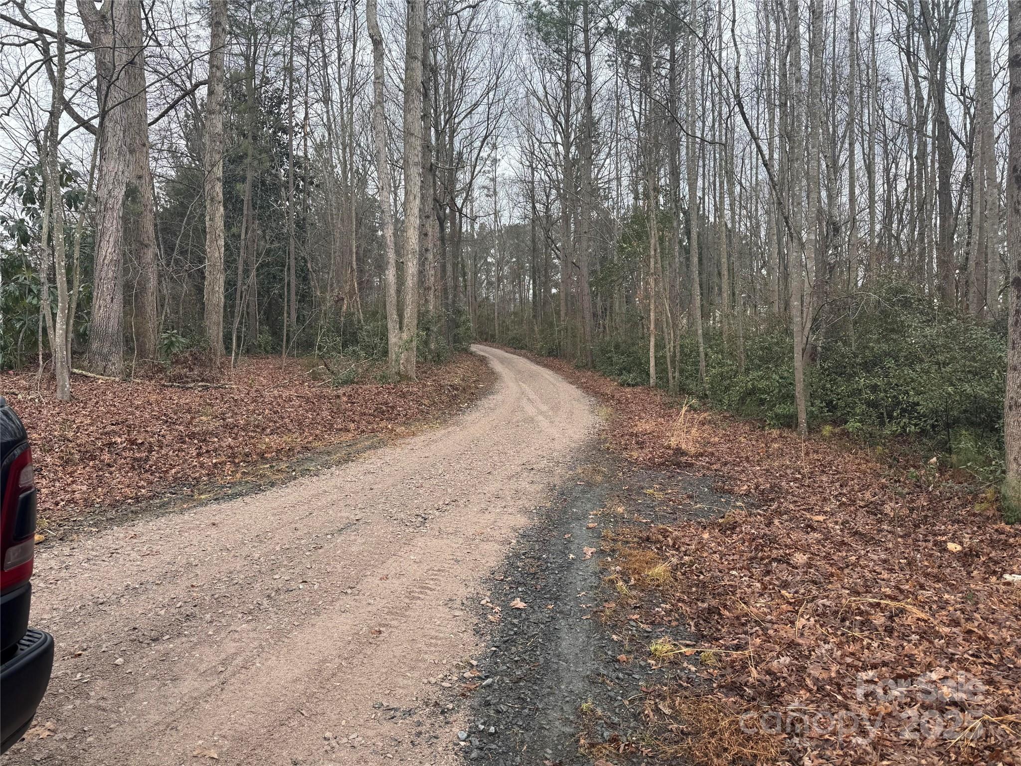 131 Biscoe Road Troy, NC 27371 - Photo 22 of 24 a view of a yard with trees in the background