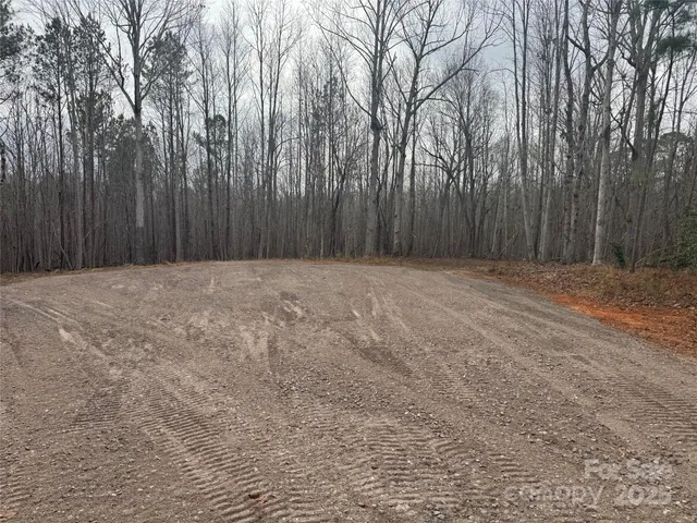 a view of backyard with tree