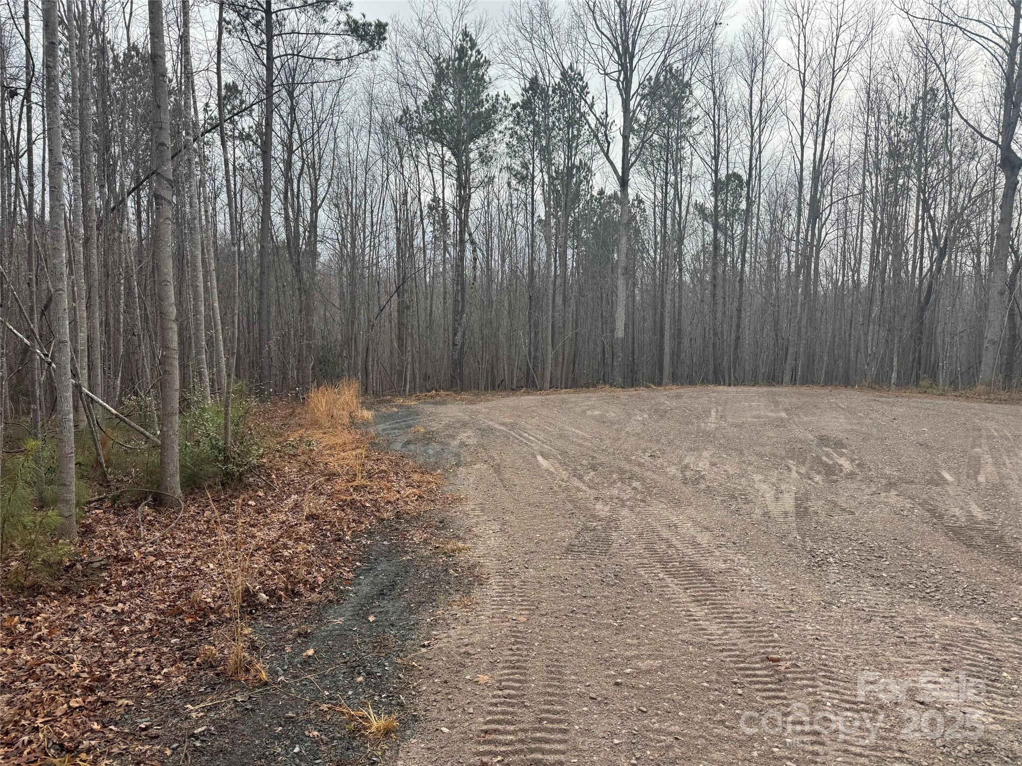 131 Biscoe Road Troy, NC 27371 - Photo 24 of 24 a view of backyard with tree