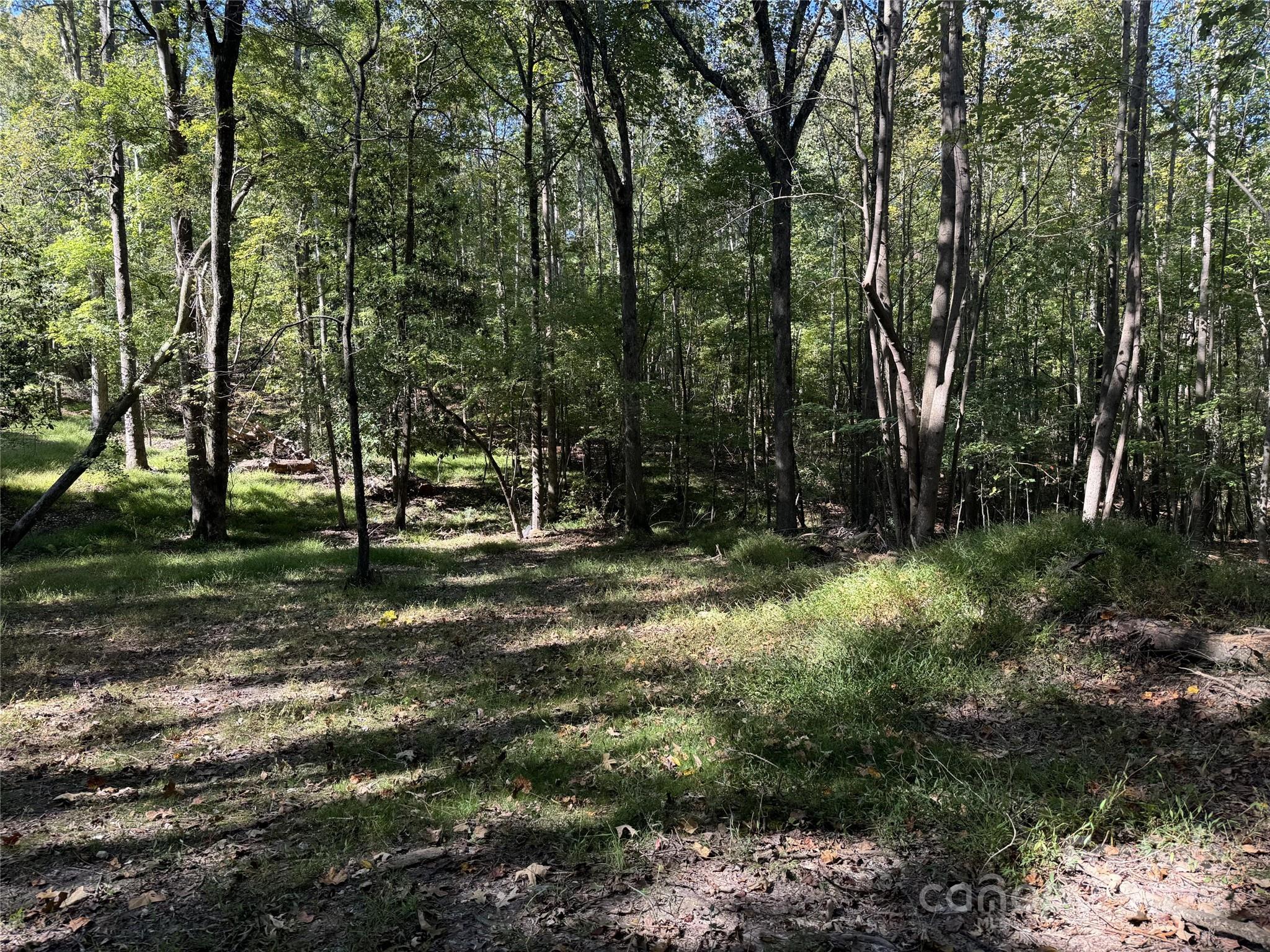 131 Biscoe Road Troy, NC 27371 - Photo 3 of 24 a view of park