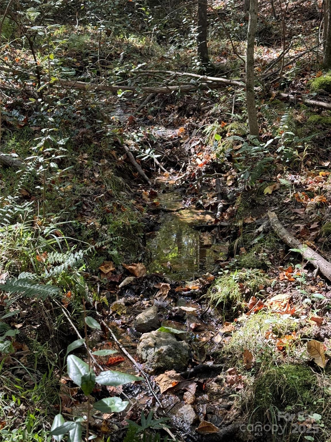 131 Biscoe Road Troy, NC 27371 - Photo 7 of 24