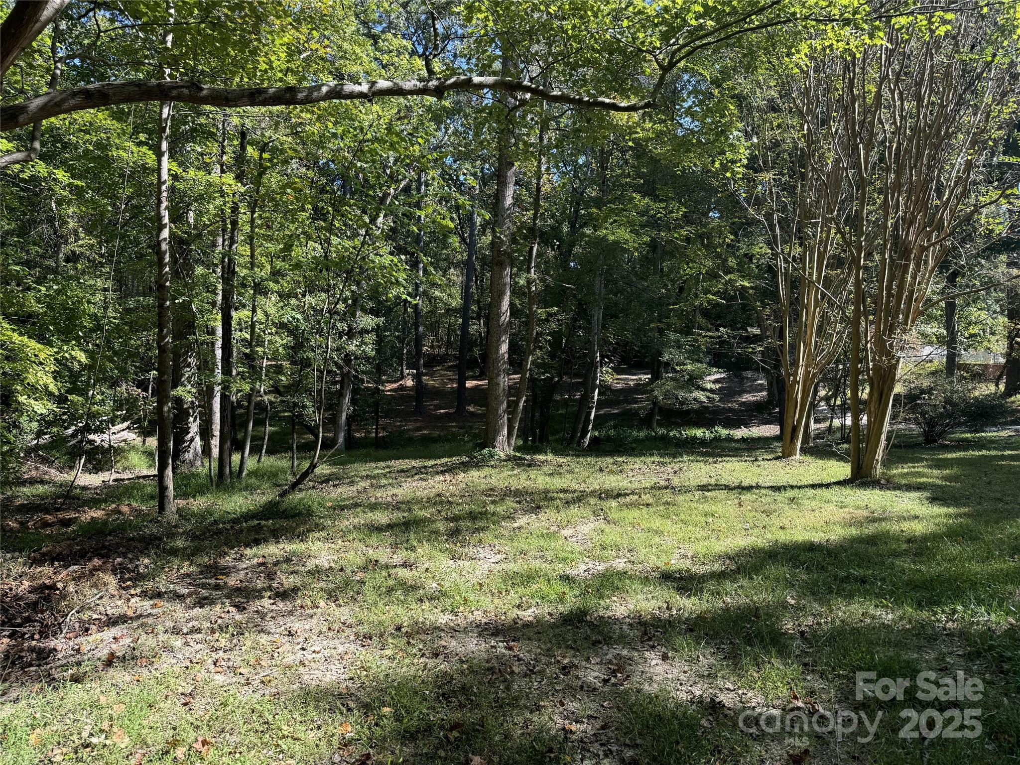 131 Biscoe Road Troy, NC 27371 - Photo 8 of 24 a backyard of a house with lots of green space