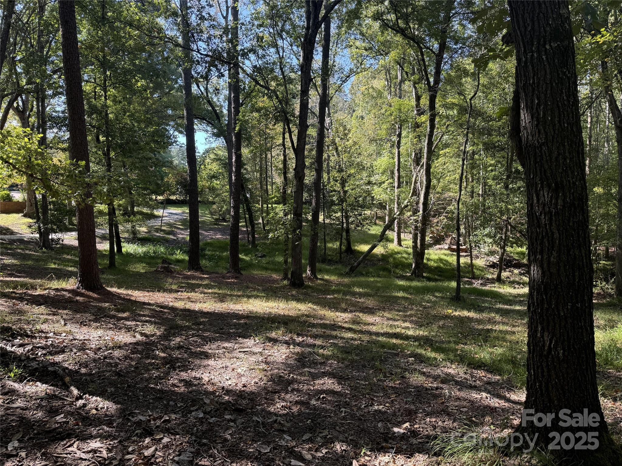 131 Biscoe Road Troy, NC 27371 - Photo 10 of 24 a view of a yard with trees
