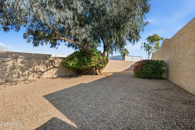 a view of a backyard