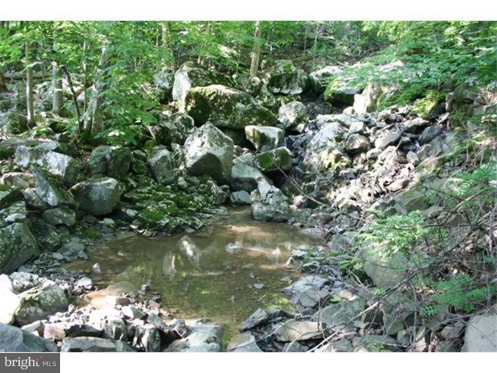 4802 River Road New Hope, PA 18938 - Photo 14 of 14