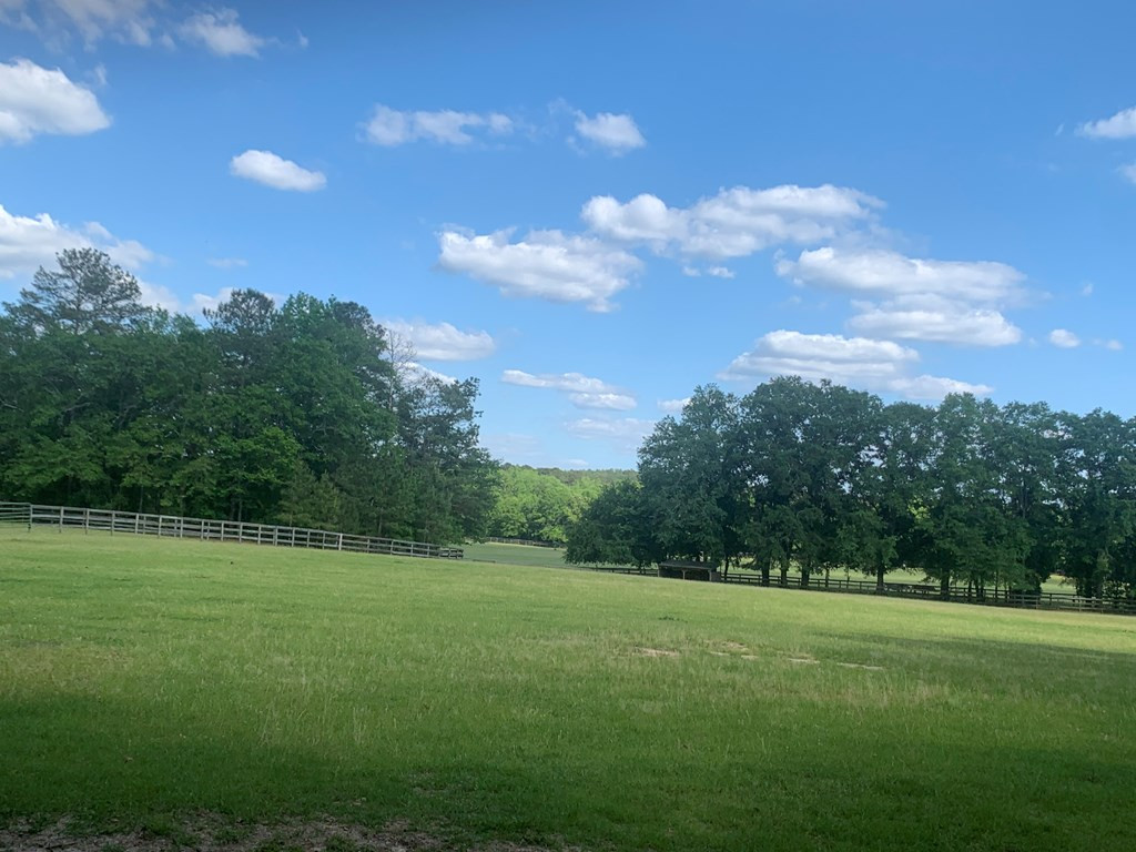 1201 Clayton Road Ridge Spring, SC 29129 - Photo 53 of 56