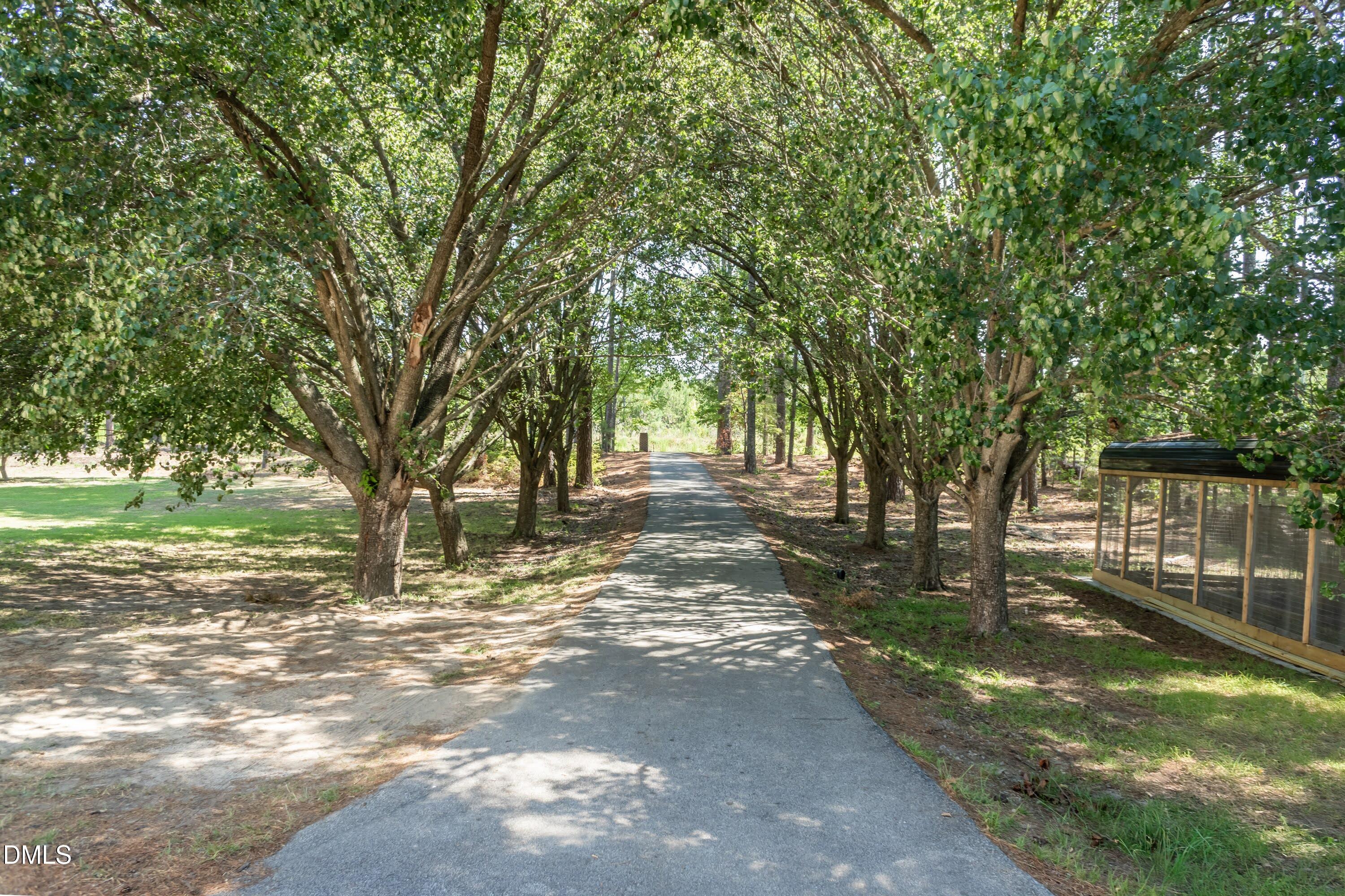 3715 South River Road Lillington, NC 27546 - Photo 28 of 91 Driveway 01