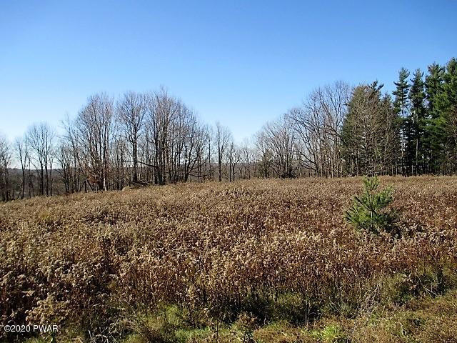 5 Avoy Heights Road Lake Ariel, PA 18436 - Photo 11 of 13 9