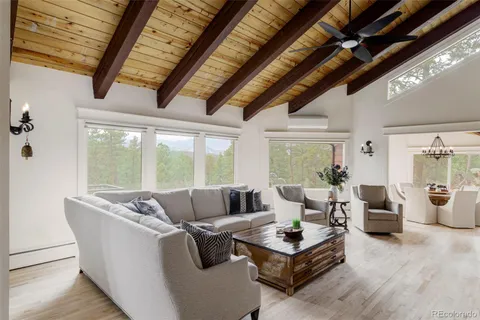 a living room with furniture potted plant and a large window