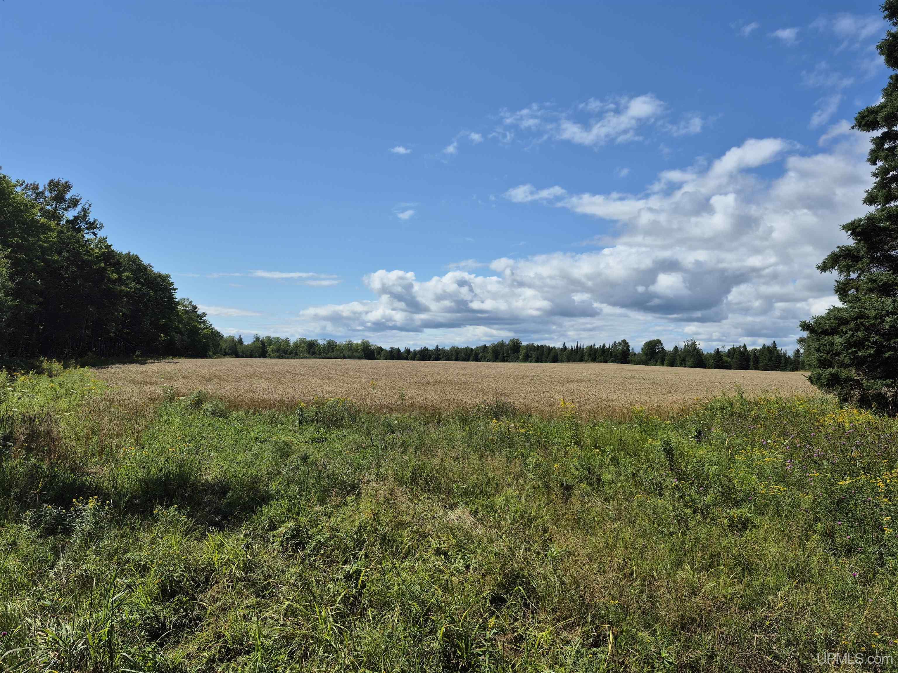 160-acres Halverson Road Gulliver, MI 49840 - Photo 13 of 35