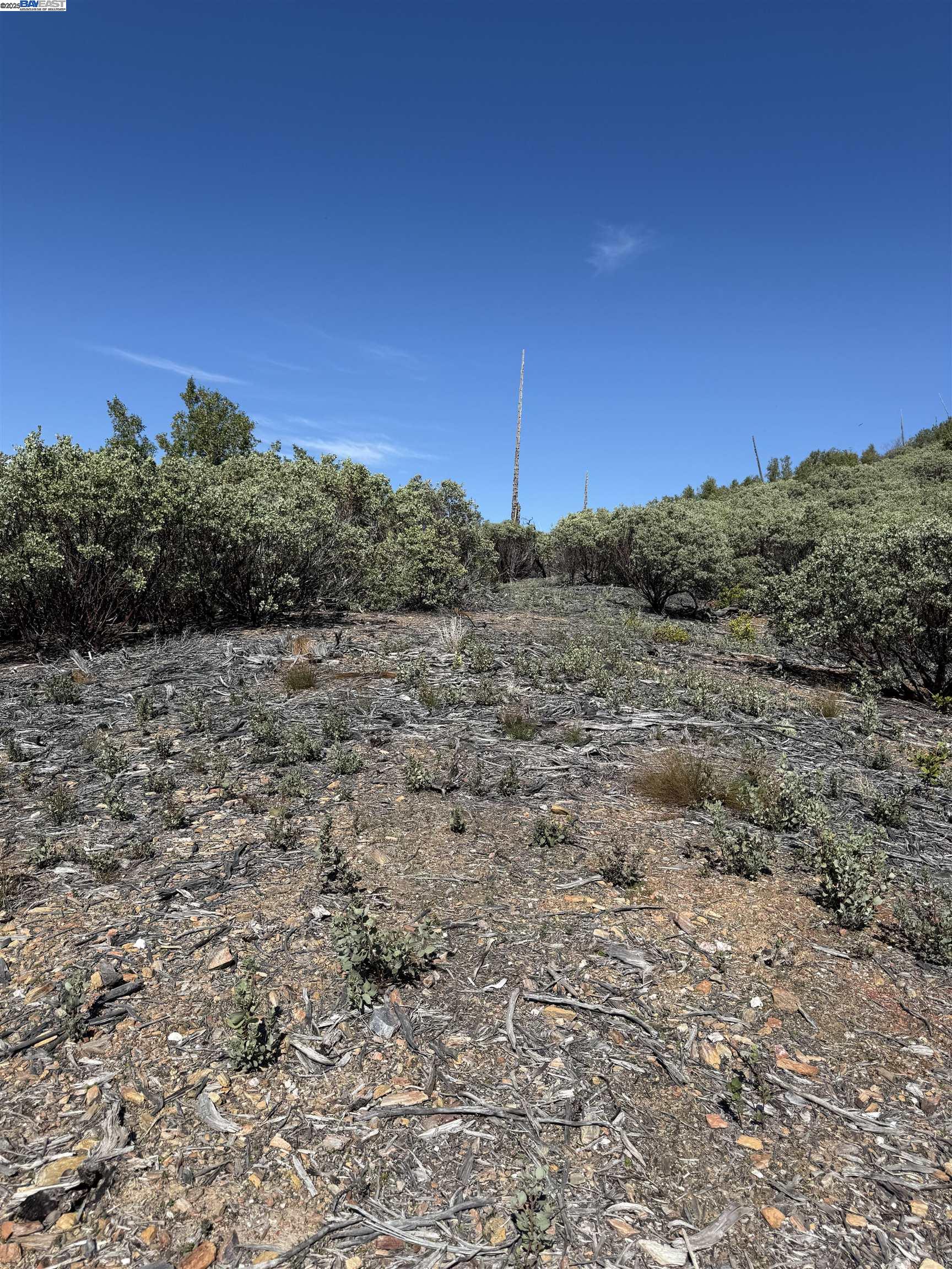 0 Esmeralda Road Mountain Ranch, CA 95246 - Photo 2 of 6 a view of a field with a tree in the background