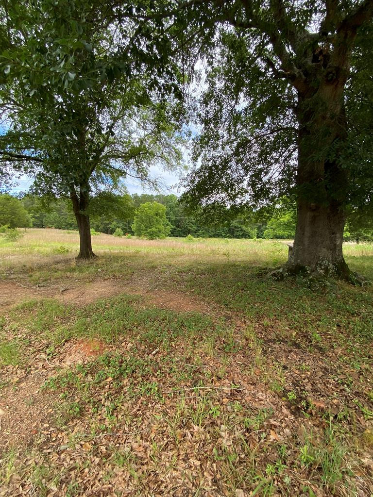 1162 Gills Point Road Tignall, GA 30668 - Photo 19 of 47