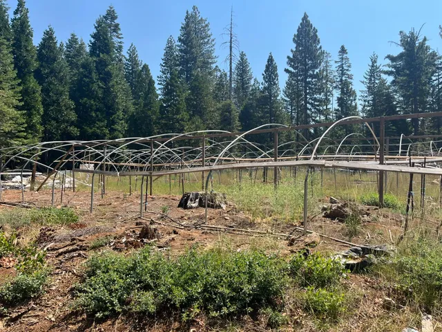 a view of a swimming pool with a lake view