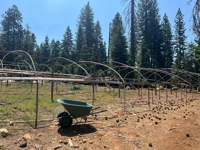 a view of a swimming pool with a yard