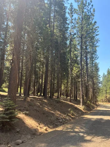 a view of street along with trees