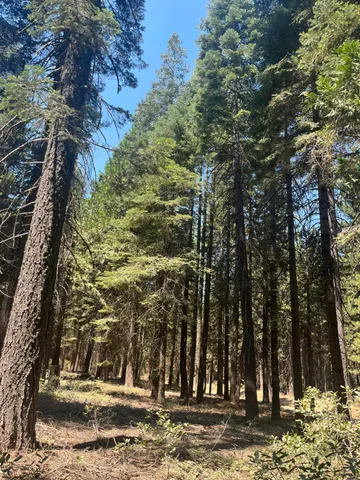 a view of outdoor space with fountain