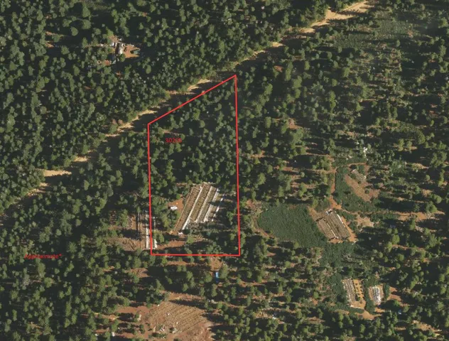 a view of outdoor space and trees