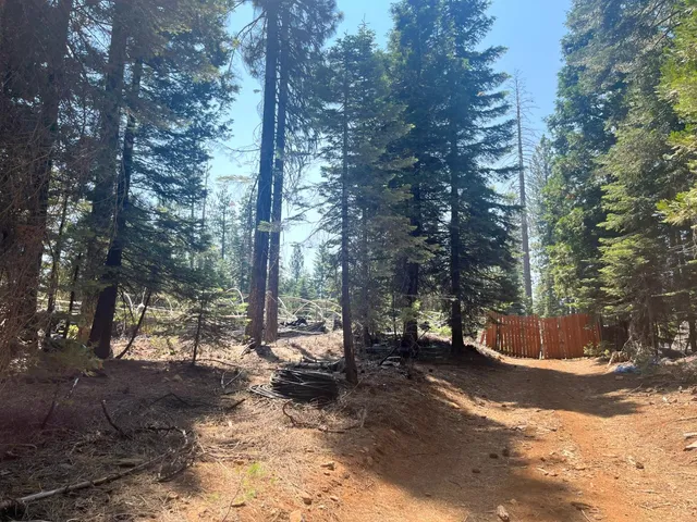 a view of road with trees
