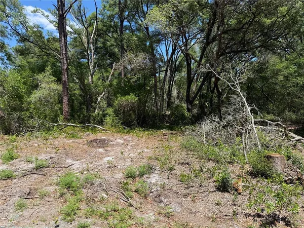 $28,500 | Fischer Lane, Ocklawaha, FL 32179