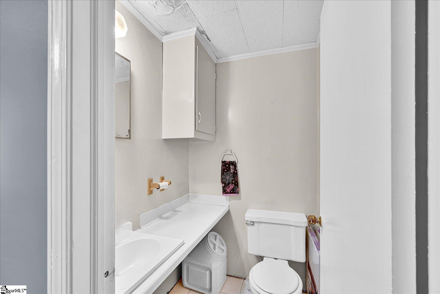 226 South Fishtrap Road Greenville, SC 29611 - Photo 11 of 47