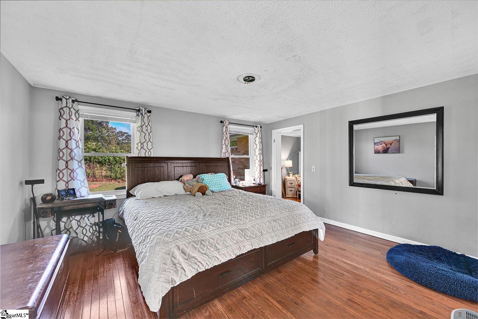 226 South Fishtrap Road Greenville, SC 29611 - Photo 16 of 47