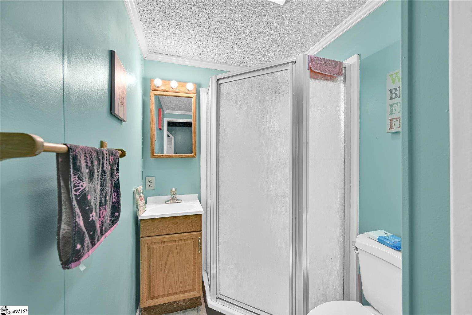 226 South Fishtrap Road Greenville, SC 29611 - Photo 17 of 47