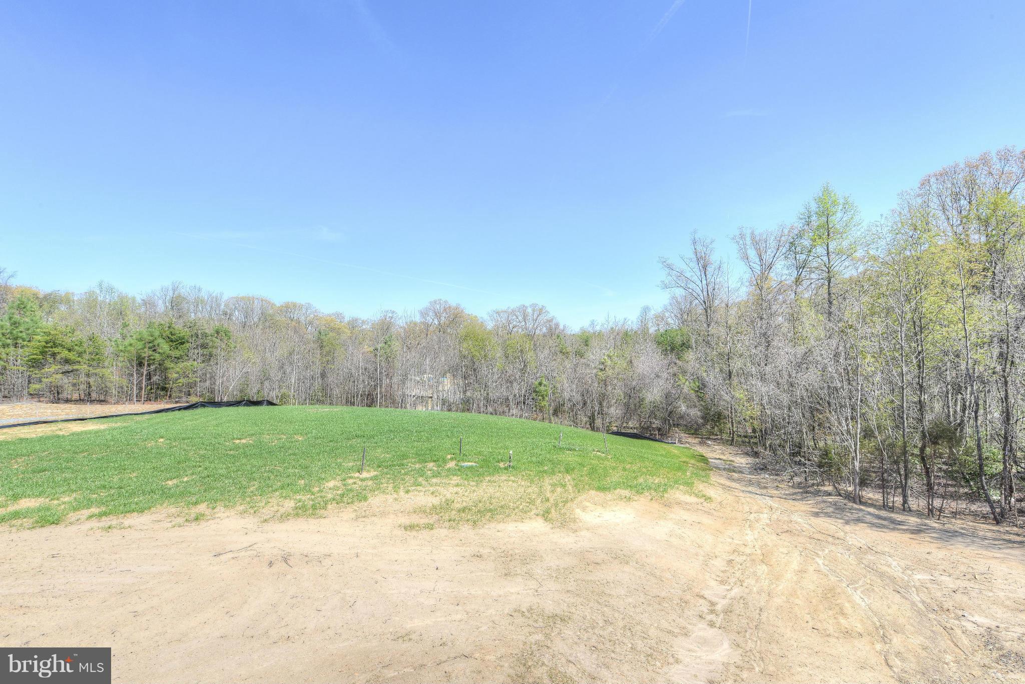 12163 Ridge Road King George, VA 22485 - Photo 6 of 30 YARD SURROUNDED BY WOODS