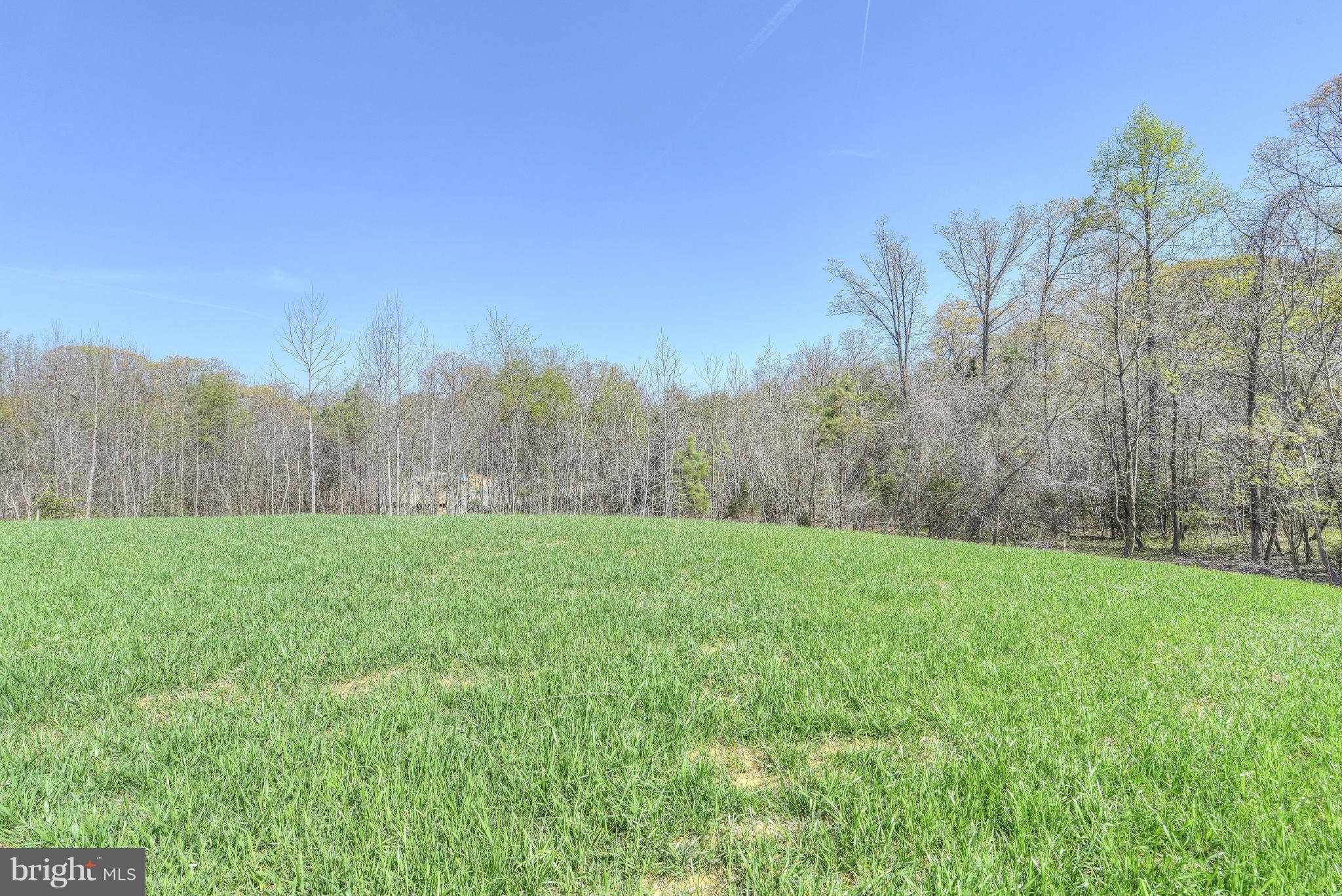 12163 Ridge Road King George, VA 22485 - Photo 9 of 30 HOW IS THIS FOR A BEAUTIFUL BACK YARD