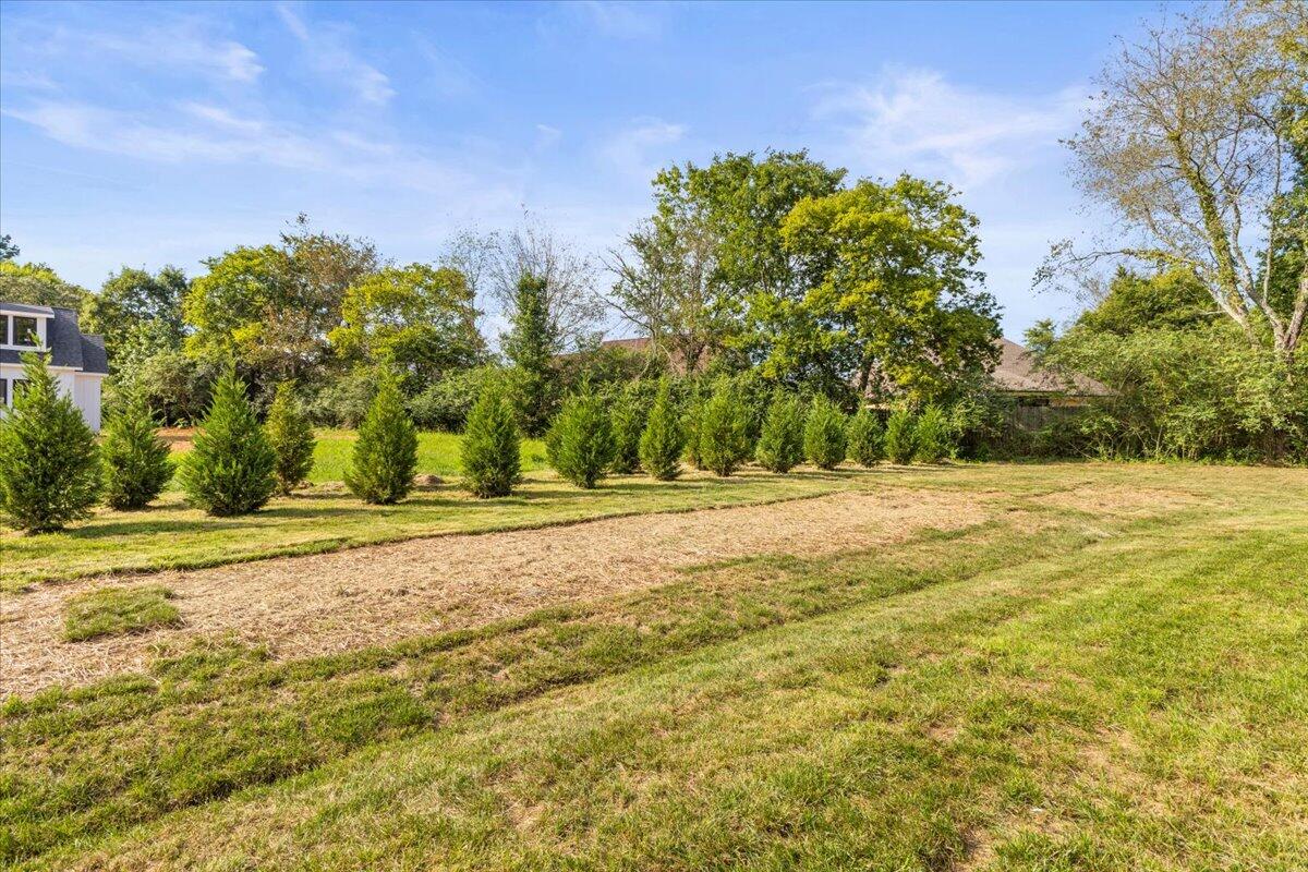 10549 East E Brainerd Road Apison, TN 37302 - Photo 39 of 41 47-IMG_9887