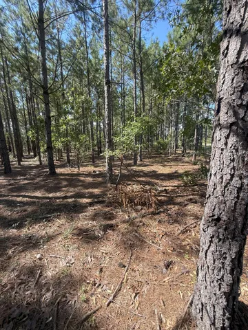 $34,900 | 7 Providence Road, Unit KF 7, Kershaw, SC 29067