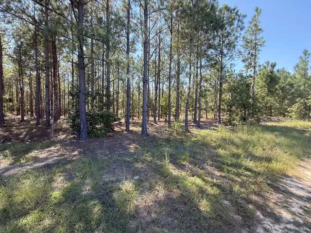 $34,900 | 7 Providence Road, Unit KF 7, Kershaw, SC 29067