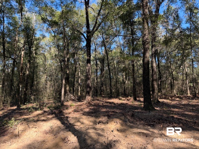 0 Danner Road East Wilmer, AL 36587 - Photo 19 of 34 Gallery Image 19