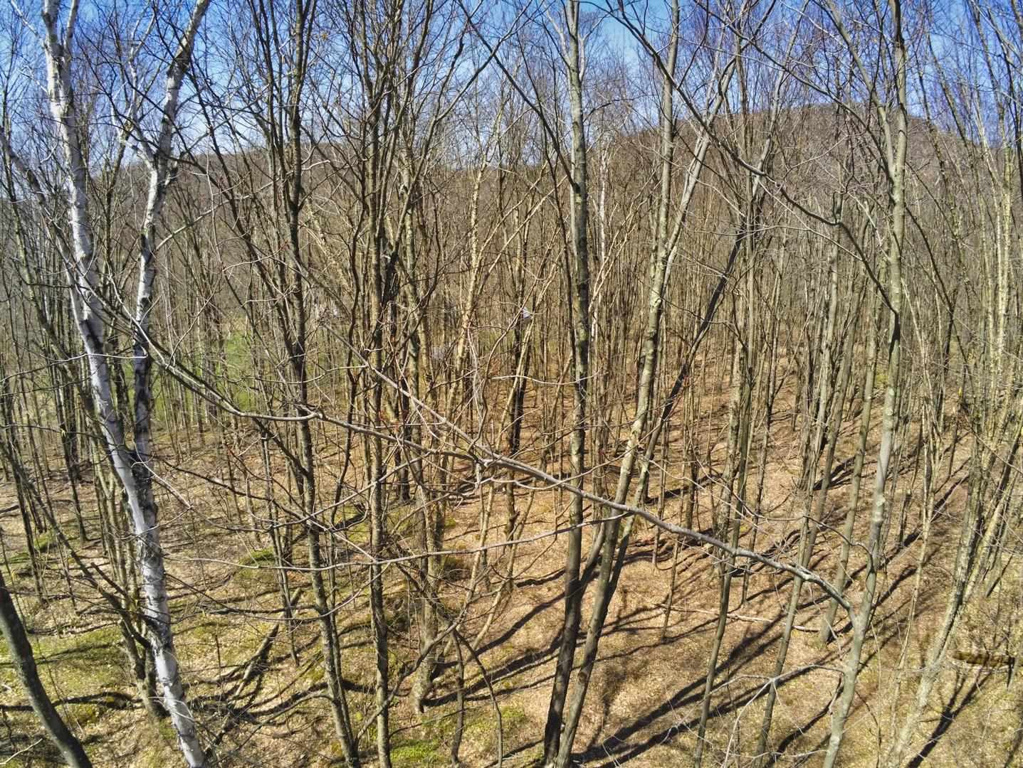 75 Repa Road Underhill, VT 05489 - Photo 8 of 25 Gallery Image 8