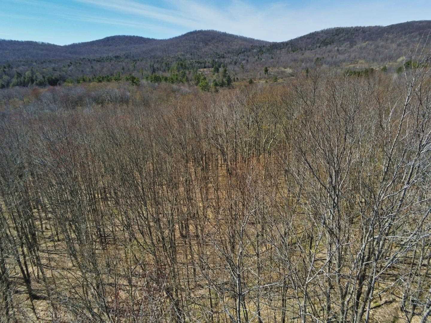 75 Repa Road Underhill, VT 05489 - Photo 9 of 25 Gallery Image 9