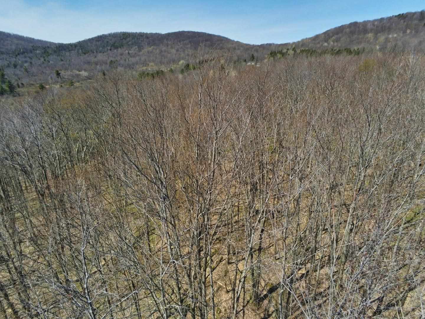 75 Repa Road Underhill, VT 05489 - Photo 10 of 25 Gallery Image 10