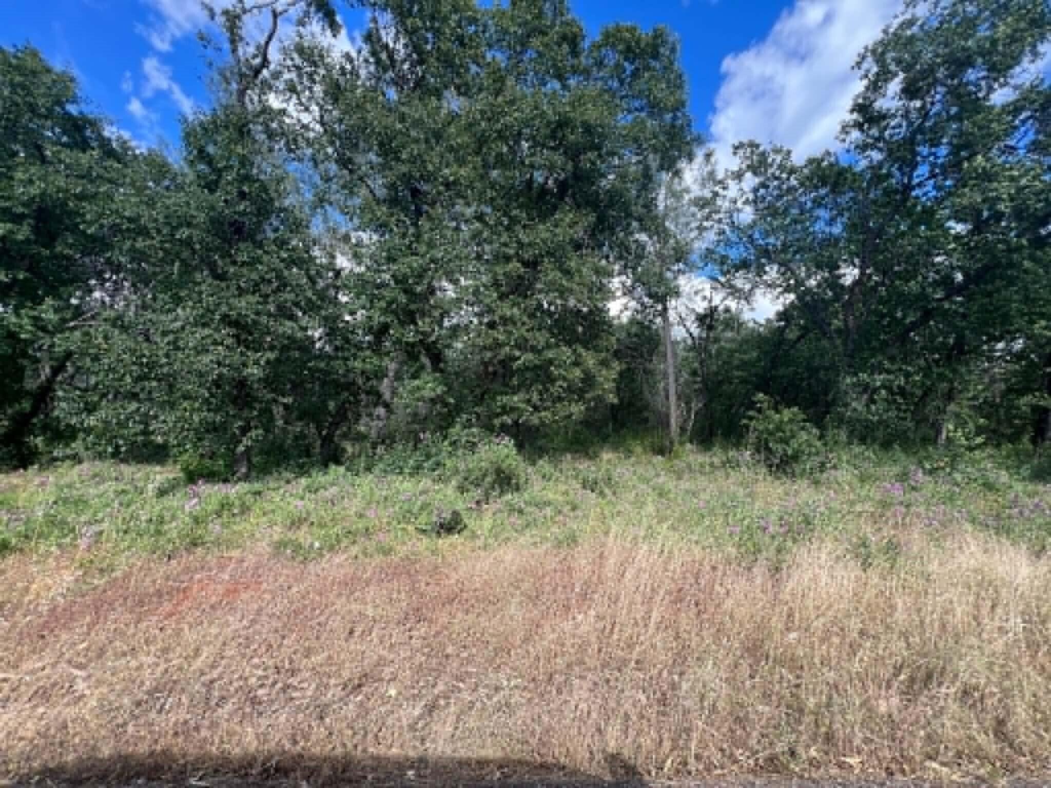 0 Manton School Road Manton, CA 96059 - Photo 13 of 13 M
