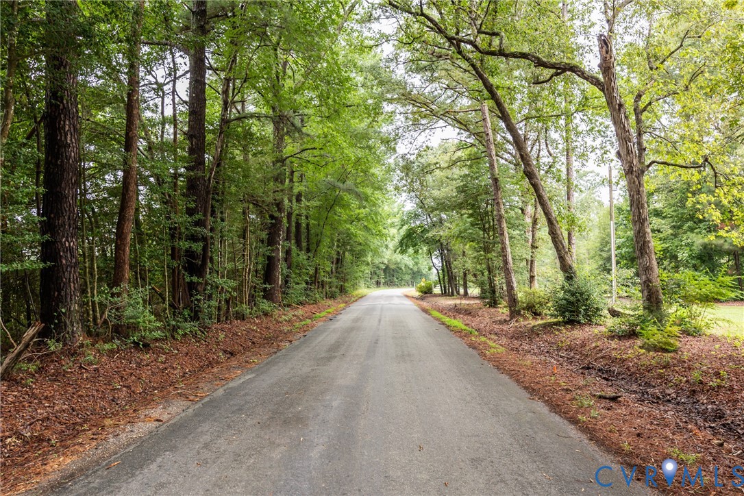 9016 Robin Road Disputanta, VA 23842 - Photo 29 of 30 View of the street