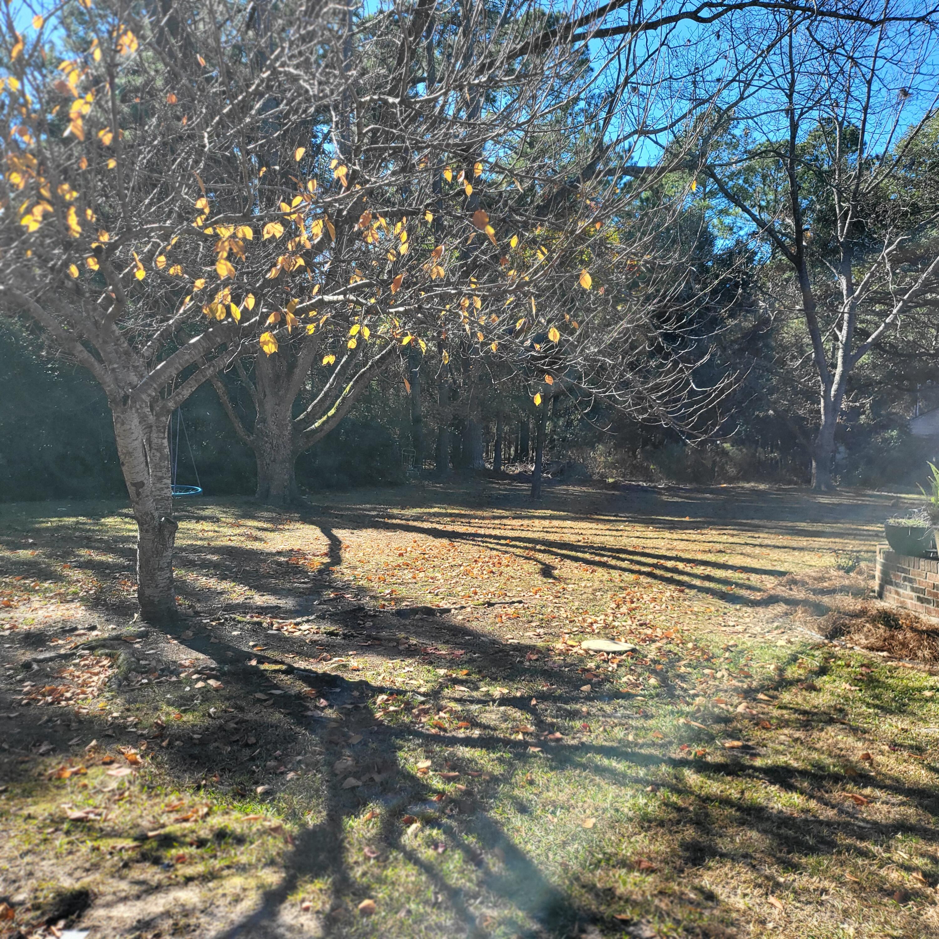 416 Pine Hill Road St. Matthews, SC 29135 - Photo 25 of 30 1000020359