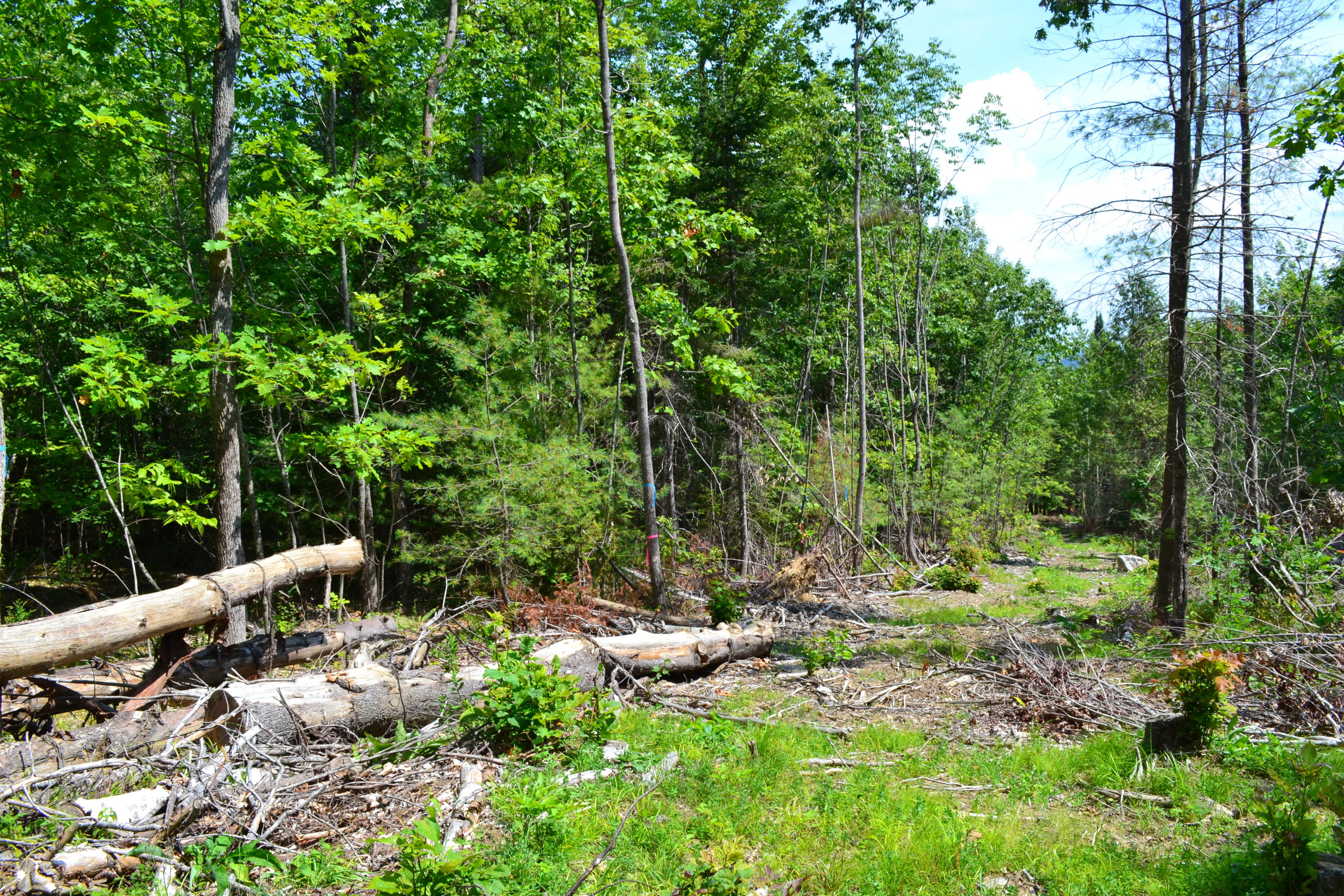 0 Hovey Luce Road Mount Vernon, ME 04352 - Photo 5 of 8 DSC_0030