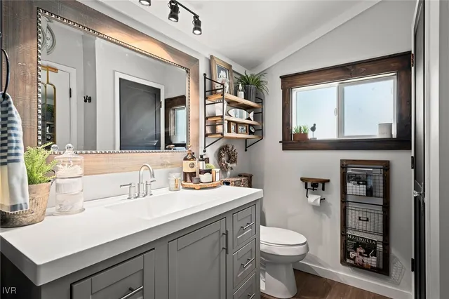 a view of a park with large trees