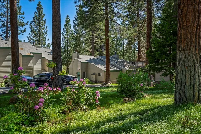 a view of a backyard of the house and outdoor space